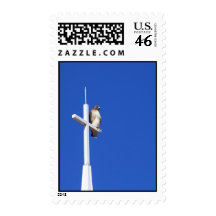 Praying Postage Stamp