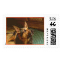 Praying Sheba JPG postage by nashuan Praying Sheba JPG postage