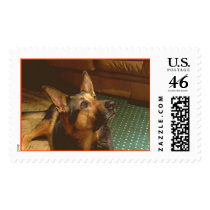 Praying Sheba  postage