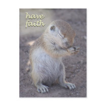 Praying Squirrel Post Card postcards