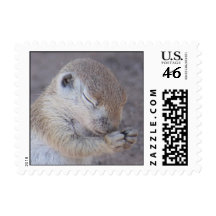 Praying Squirrel Small Postage