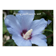 Praying you'll soon be... greeting card
