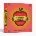 Pre K Teacher Binder