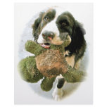 Precious and Her Fave Toy Letterhead