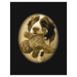 Precious And Her Fave Toy:  Sepia Custom Flyer