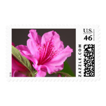 Precious Azalea Wedding Invitation Postage