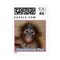 Precious Baby Orangutan postage