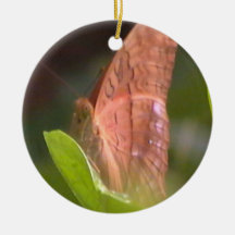 Precious Butterfly Christmas Tree Ornament