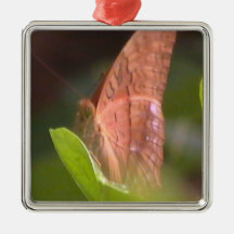 Precious Butterfly Christmas Tree Ornament