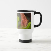 Precious Butterfly Coffee Mugs
