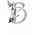 Precious Butterfly Initial B t-shirts