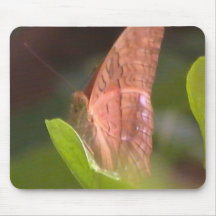 Precious Butterfly Mouse Pads