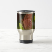 Precious Butterfly Mug
