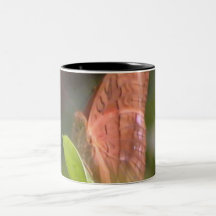 Precious Butterfly Mug