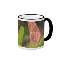Precious Butterfly Mug