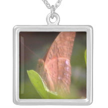 Precious Butterfly Necklace