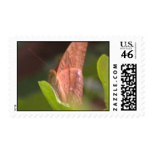 Precious Butterfly Stamp