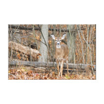Precious Stretched Canvas Print