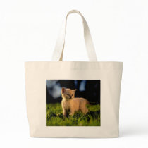 Precious Cat and Kitten Photos, Gifts - Customize! Tote Bag