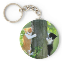 Precious Cat and Kitten Photos, Gifts - Customize! Keychain
