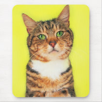 Precious Cat and Kitten Photos, Gifts - Customize! Mouse Mats