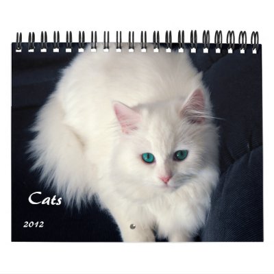 Precious Cats 2012 Calendar Precious Cats 2012 Calendar
