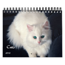 Precious Cats 2012 Calendar