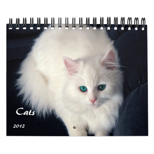 Precious Cats 2012 Calendar calendar