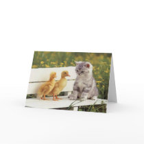 Precious Cats, Kittens Cards, Gifts -  Customize!