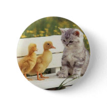 Precious Cats, Kittens Cards, Gifts - Customize! buttons by naturetees Precious Cats, Kittens Cards, Gifts - Customize! buttons