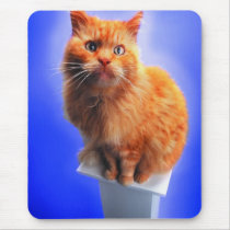 Precious Cats, Kittens Cards, Gifts -  Customize! Mouse Pads