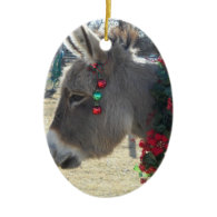 Precious Donkey Christmas Ornament!