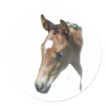 Precious Foal Sticker