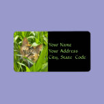 Precious jungle Kitty Address Labels