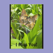 Precious Jungle Kitty "missing you" Postcard postcards