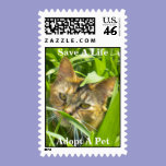 Precious Jungle Kitty Postage postage