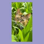 Precious Jungle Kitty Poster posters