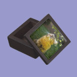 Precious Kitty Monogram Gift Box premium gift boxes