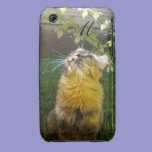 Precious Kitty Monogram iPhone 3 case casemate cases