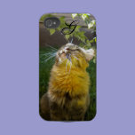 Precious Kitty Monogram iPhone 4 case casemate cases