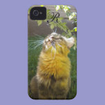 Precious Kitty Monogram iPhone 4 case casemate cases