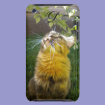 Precious Kitty Monogram iPod Touch case casemate cases