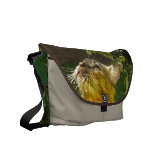 Precious Kitty Rickshaw Messenger Bag rickshaw_messengerbag