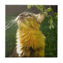 Precious Kitty Tile Trivet tiles