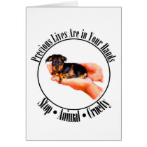 Precious Lives Card