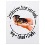 Precious Lives Flyer