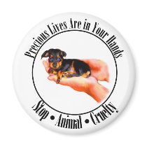 Precious Lives Magnet
