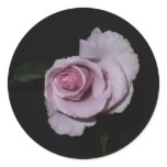 Precious Memories Sticker