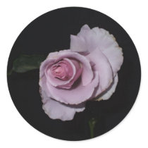Precious Memories Sticker