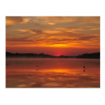 Precious morning, orange sunrise at the lake postcard